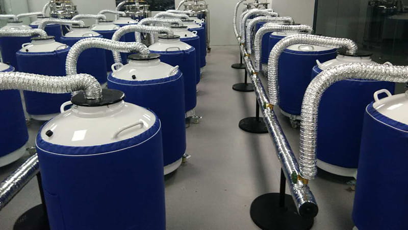 天驰帮助客户搭建液氮罐实验室