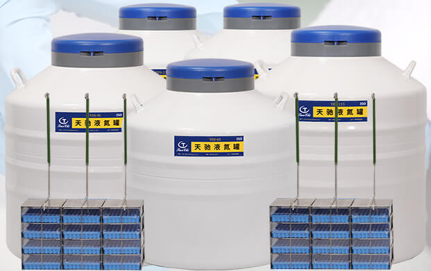 能放冻存盒的液氮罐口径多大?