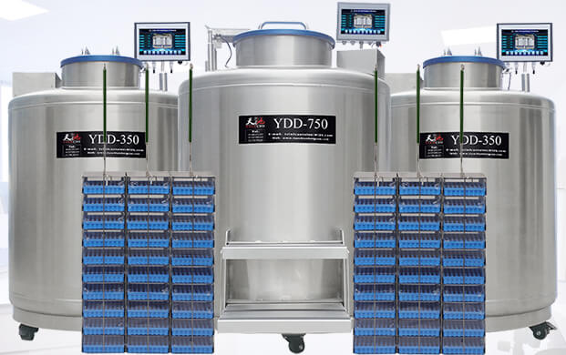 广口液氮罐ydd储存干细胞的方式