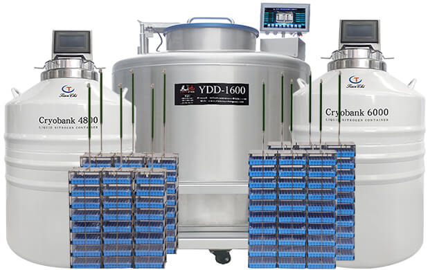 液位温度可视液氮罐有哪些？