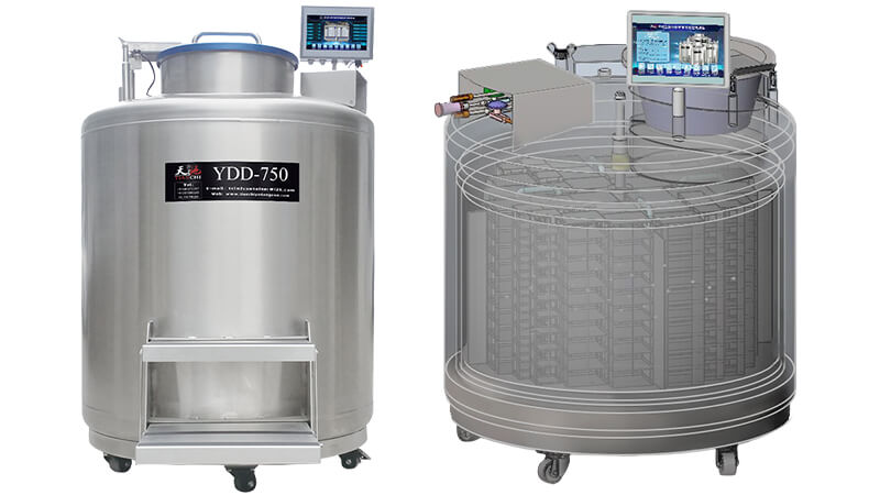 气相液氮生物容器是怎么分区的