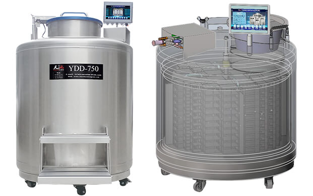 气相液氮罐是怎么分区的?