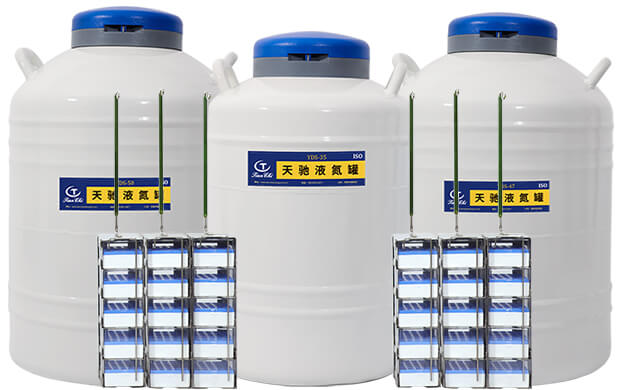 实验用液氮罐补液要加多少液氮？