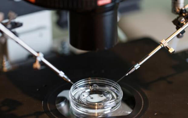 新型IVF技术通过糖分子绑定延长精子存活期