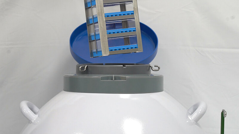 细菌可以冻在实验室液氮罐里吗