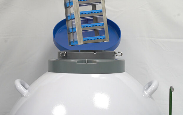 细菌可以冻在实验室液氮罐里吗？