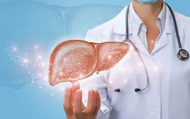 日本培育代谢活性肝细胞类器官，液氮冷冻技术突破存储瓶颈