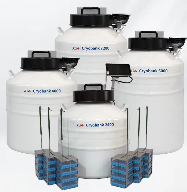 小型气液相液氮罐