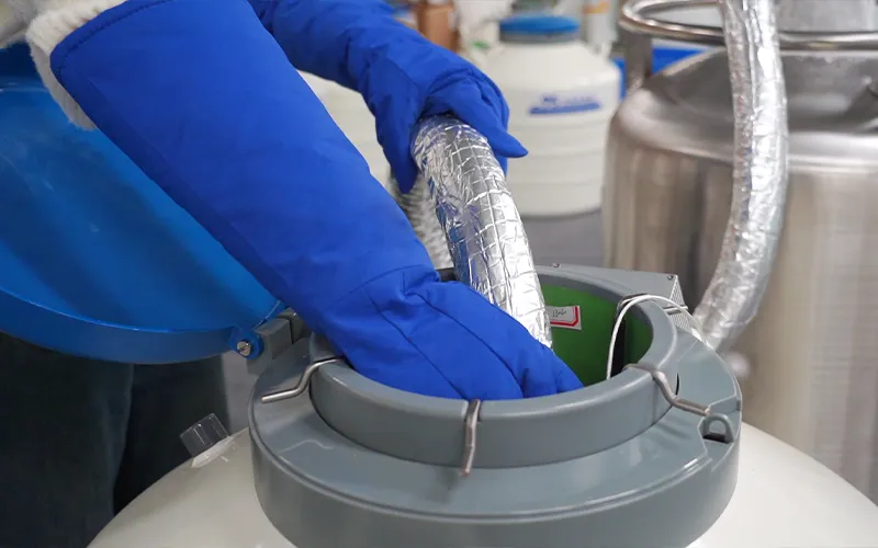 天驰液氮低温手套