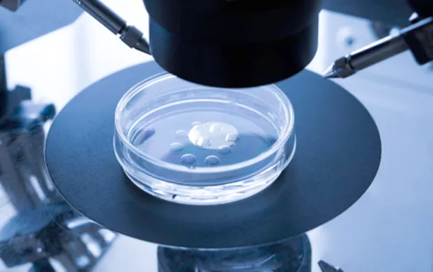 细胞培养基储存容器市场迎增长 小型生物液氮罐协同保障样本活性