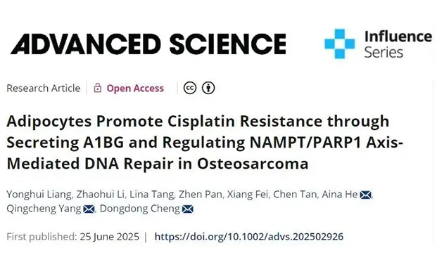 破解骨肉瘤耐药难题！上海交大新策略提升保存细胞的液氮容器临床应用价值
