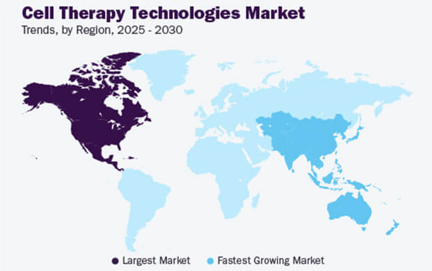细胞治疗技术市场增长态势强劲,实验室的液氮容器需求攀升