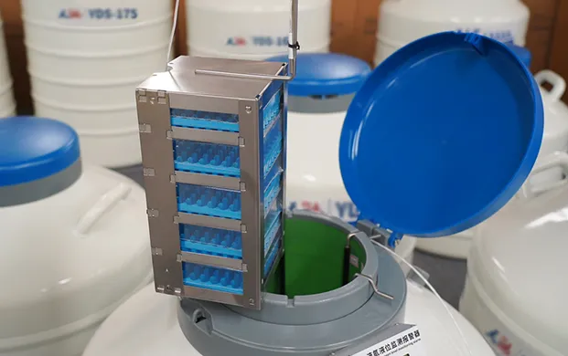 液氮罐使用安全规范与多场景应用指南