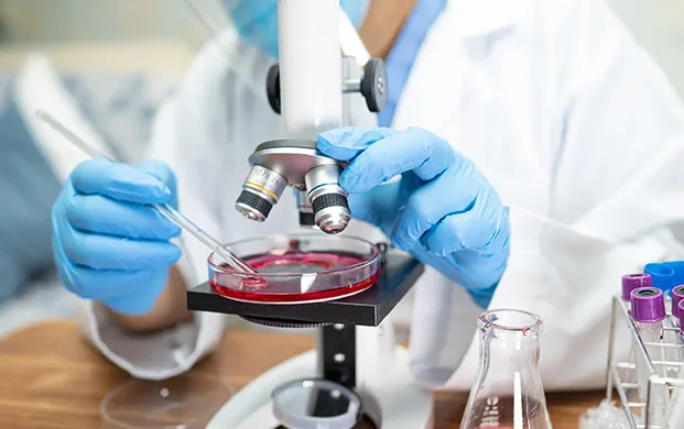 猪胚胎成功培育“人源化”跳动心脏,液氮转运罐助力未来生物样本安全