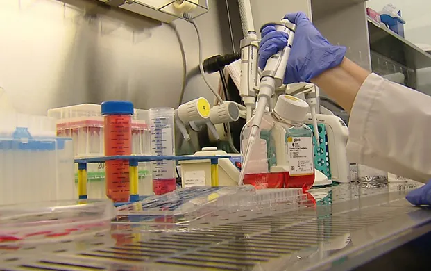 波兰干细胞疗法突破骨关节炎瓶颈，实验室专用液氮罐护航细胞存储