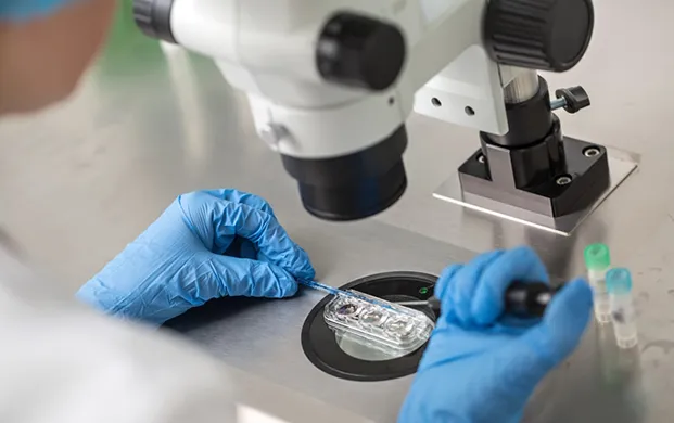 新合成蛋白质助力清除废弃细胞 生物容器液氮罐为科研提供支撑