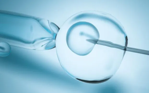 佛罗里达州干细胞疗法新政落地！气态液氮罐护航临床应用