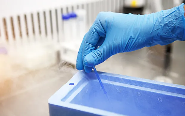 近期液氮市场走势分化，液氮罐定制需求随应用场景升级