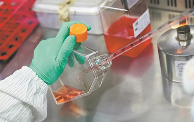 科学家发现低侵入性婴儿干细胞收集法，气相液氮存储罐助力长期保存