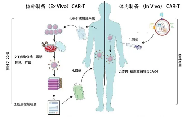 我国医疗团队取得CAR-T疗法新进展 液氮罐冻存细胞技术助力升级