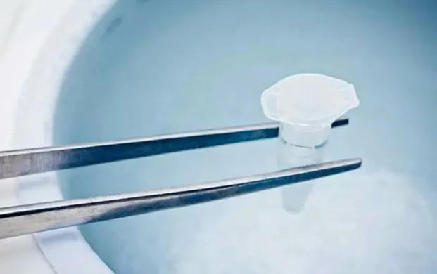 香港拟取消配子胚胎存储时限 智能液氮罐护航长期安全