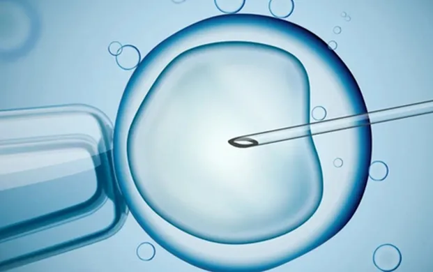 印度安得拉邦性别分选精液补贴 液氮罐的构造助力奶业升级