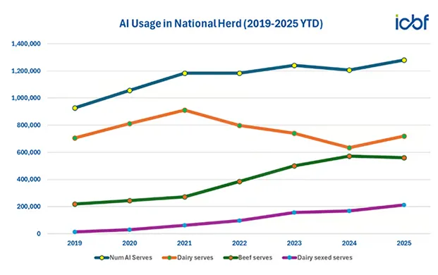 便捷式液氮罐助推爱尔兰育种升级 2026 年奶牛犊出生量预计回升