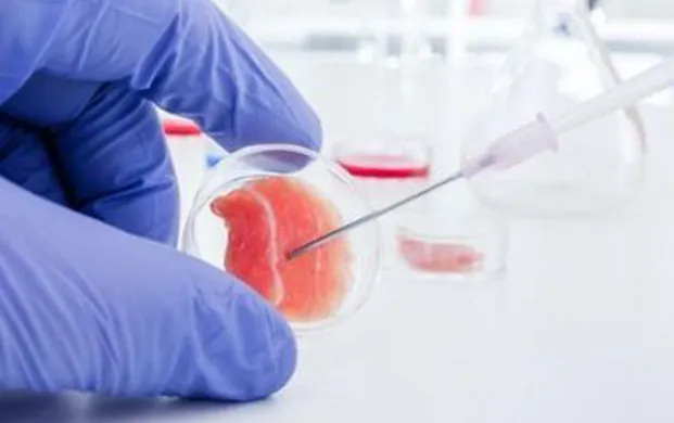 UCLA重编程抗癌突破 长效免疫再生 干细胞储存库为基石