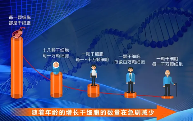 冷冻储存气相液氮罐护航干细胞突破：我国糖尿病治愈迈入临床