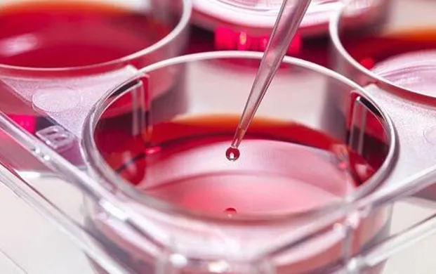 生物感知机器学习优化细胞培养基，冻存管液氮罐保障样本安全