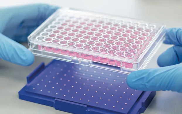 细胞培养市场引全球投资热潮 冻存液氮罐成关键支撑