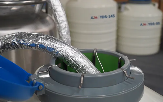 医疗液氮输送系统市场2034年将达7.95亿美元，ydz自增压液氮罐成关键设备