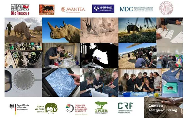 国际团队培育3枚北部白犀牛胚胎，航空型液氮罐助力物种拯救