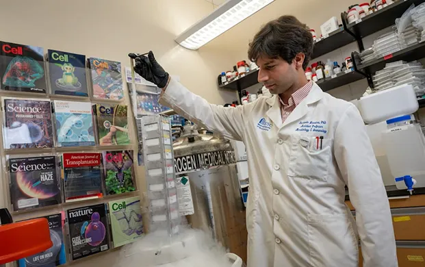 基因改造免疫细胞助力器官移植抗排斥 深低温液氮罐提供研究支撑